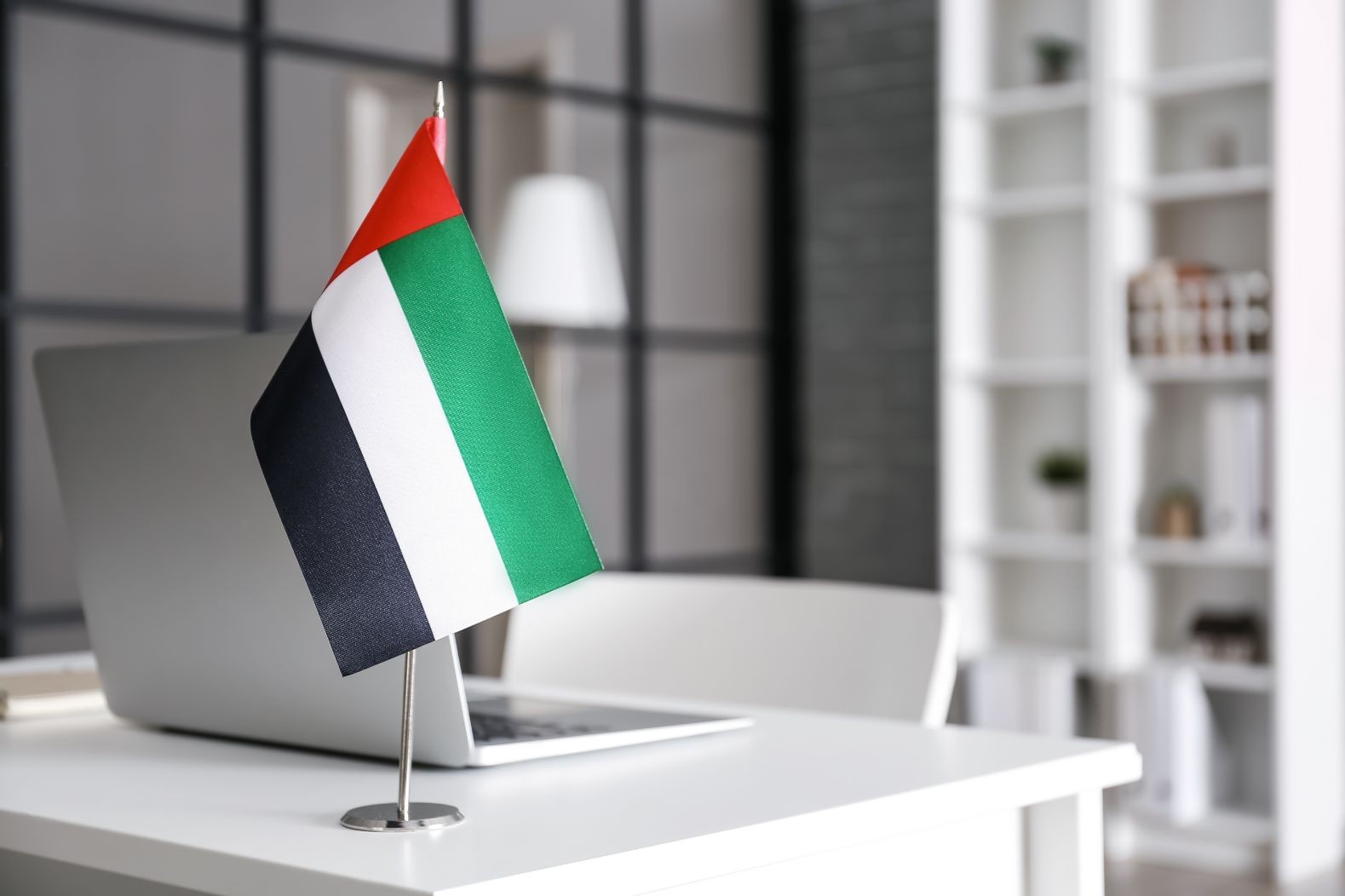 UAE Freelance Visa Specifications